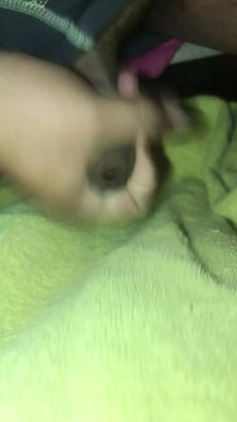 Big Texxx Gay P HD Porn Videos XHamster