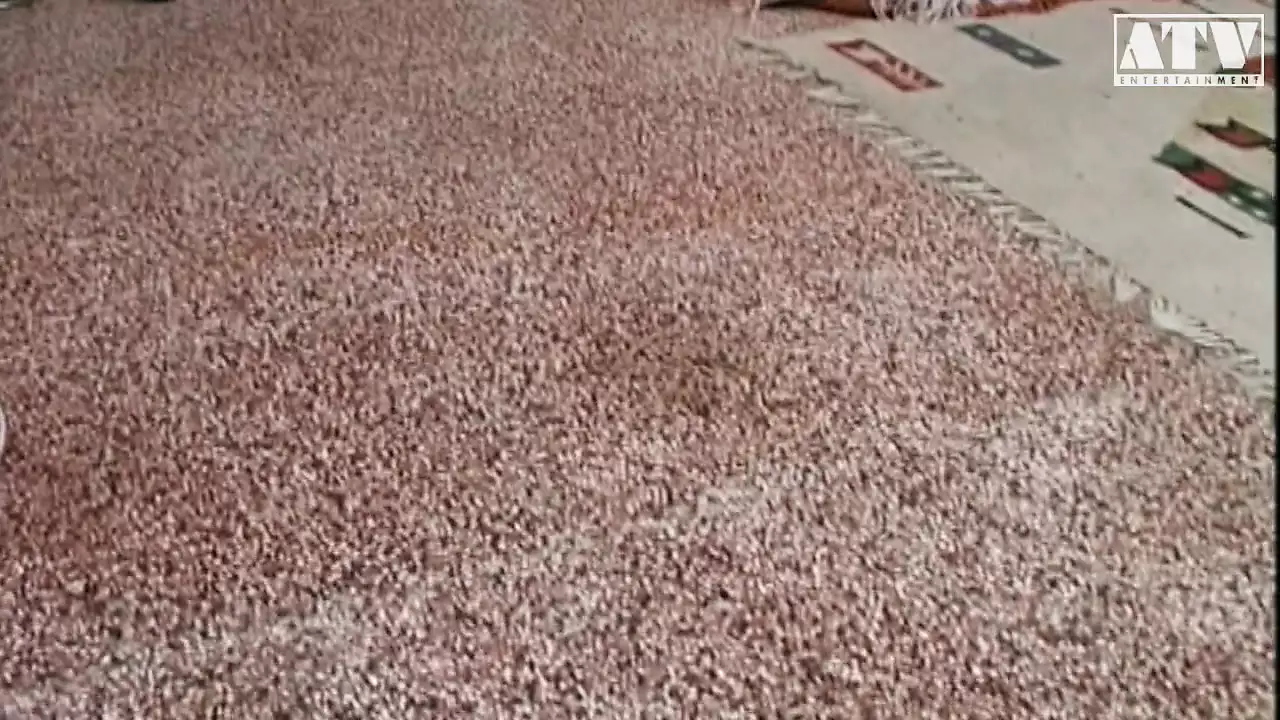 Craving For Cock Part Italian Nipples Homemade Porn XHamster