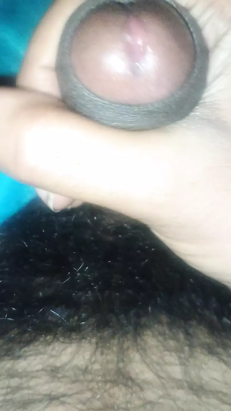Free Hairy Muscular Gay Porn Videos XHamster