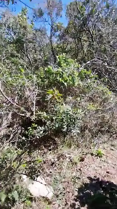 Hiker Catches A Guy Getting Naked On A Beach And He Gets His Ass Fucked