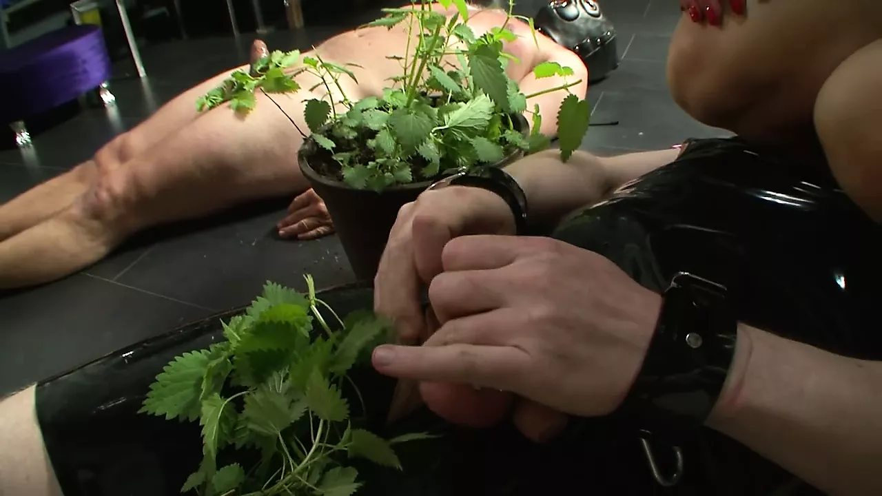Gummi Sklaven Trauma Free BDSM HD Porn D XHamster