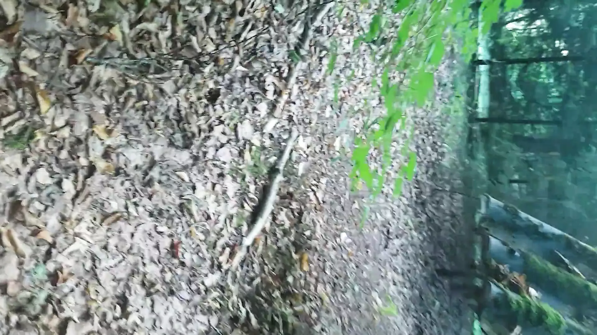 Im Wald Geil Gefickt Gay Anal HD Porn Video E XHamster