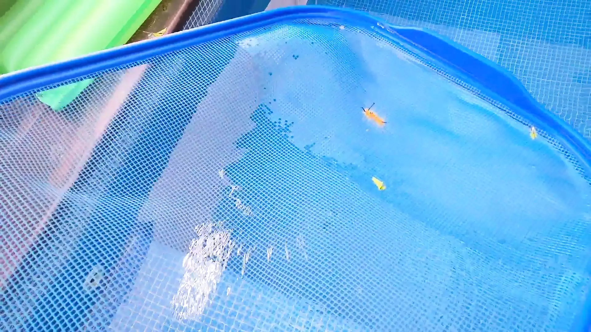 Amateur schätzchen fick teil amateure aufgenommen spoken In