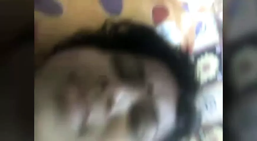 Pakistani MILF Enjoyed Sex With Son Free Porn 67 XHamster