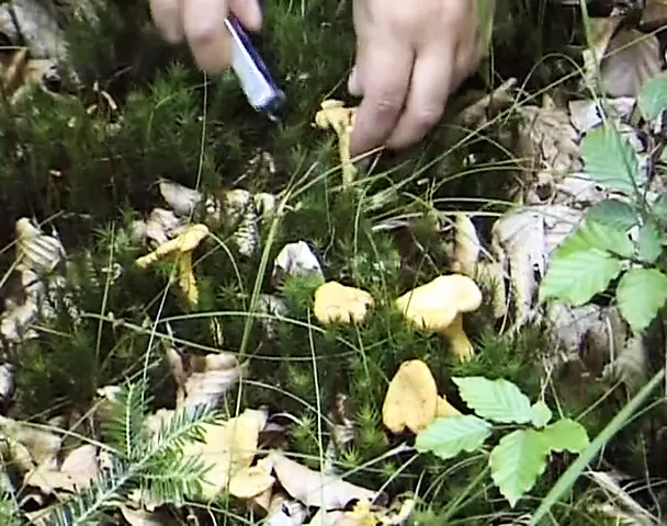 Heidi Das Luder Von Der Alm 4 Free Porn Video E8 XHamster