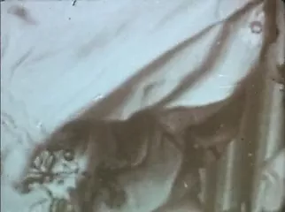 Free Vintage Fantasy Porn Videos XHamster