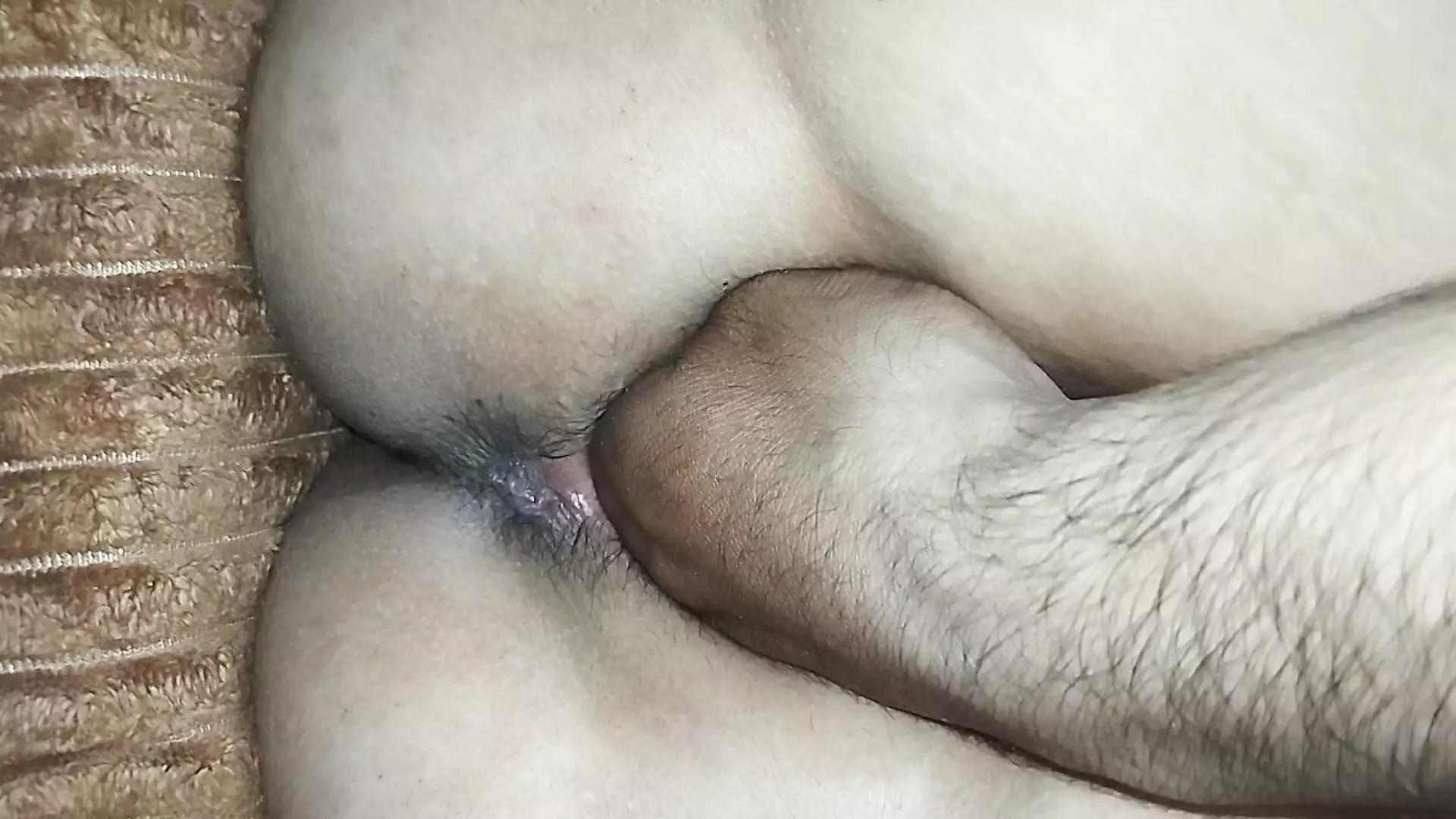 Nari I Haveh Taboon Andha Was Kankhchi Yadi Fiyah Kamle Arab Ass Porn XHamster