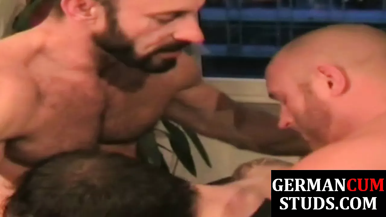 Sturdy German Dilfs Ramming Jocks Asshole In Bareback Trio Gay Porn XHamster