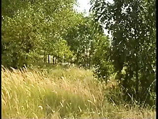 Drncm Classic Group Sex F Retro Porn XHamster