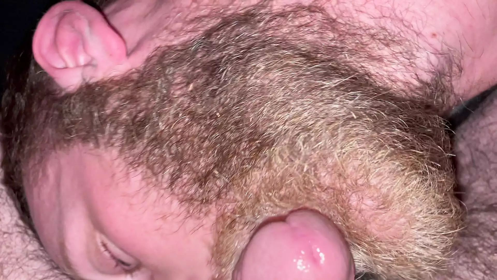 Free Hairy Otter Gay Porn Videos XHamster