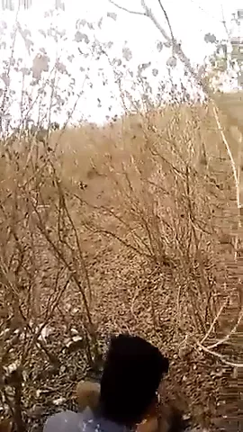 Bhabi Ki Chudai Jangal Glory Hole Hardcore Porn XHamster