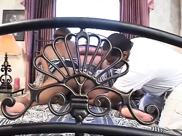 Free Black Fucking Porn Videos XHamster