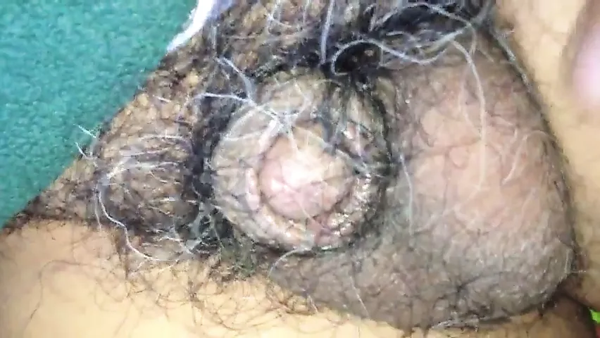 Viejito Gay Small Cock Daddy Porn XHamster