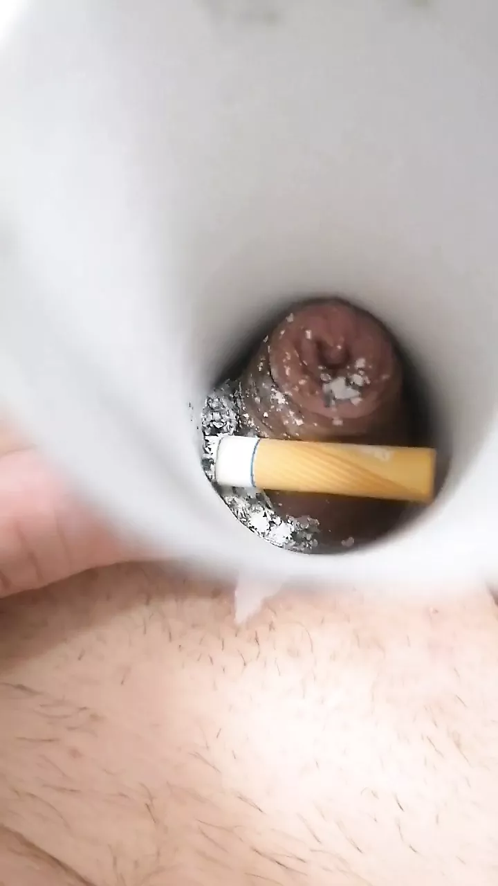 My Micropenis Is Ashtray Torture Burn CBT BDSM Gay Porn 16 XHamster