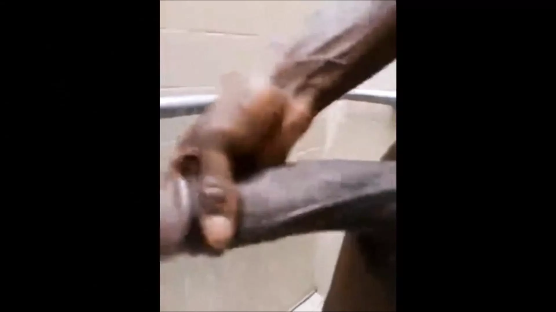 BBC Compilation Big Cock Porn XHamster