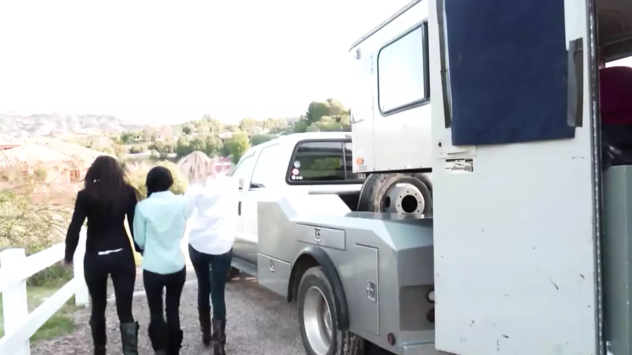 Sapphic Porn Videos XHamster