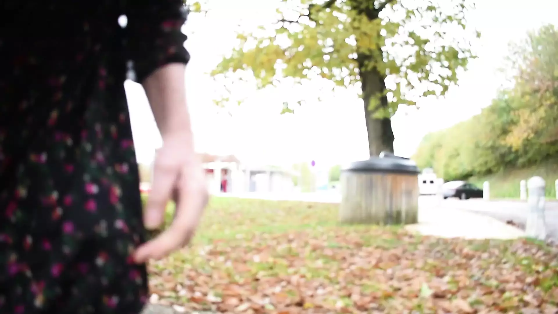 Sounding Dildo Outdoors XHamster