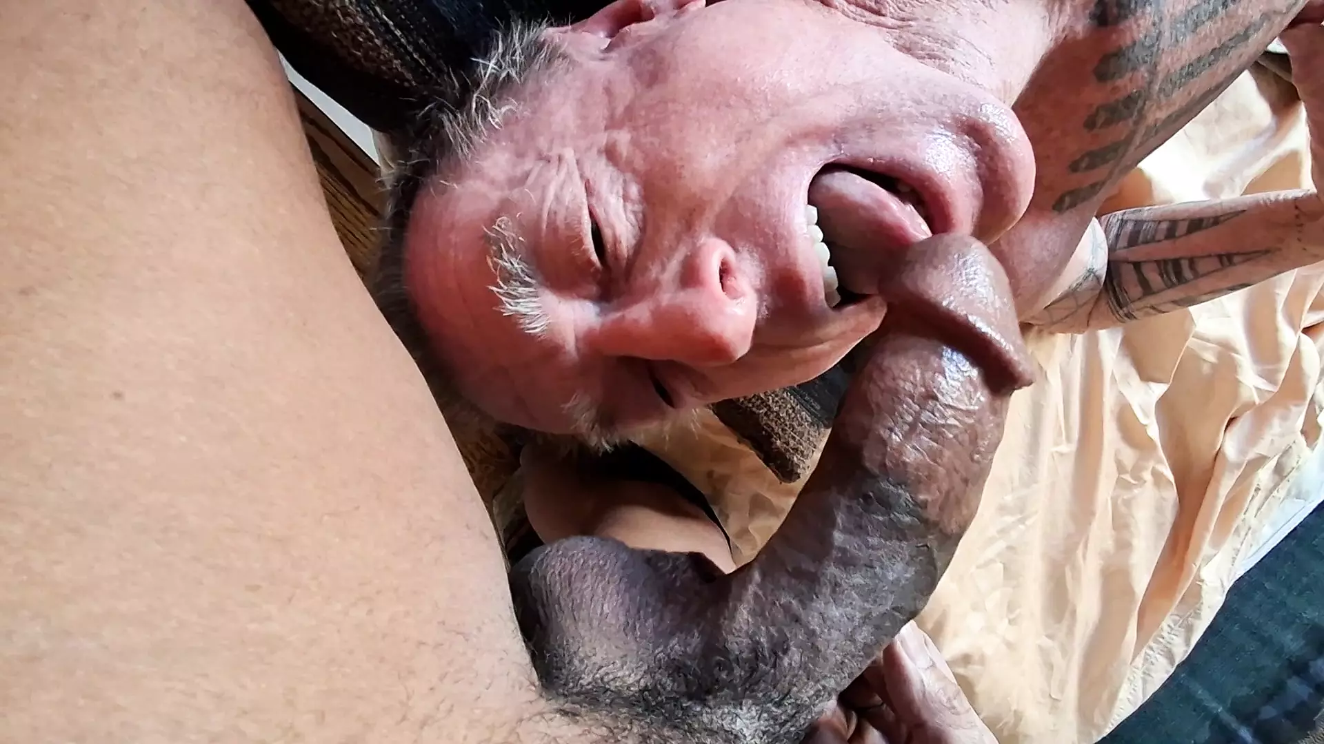 Key West Swallowing Pedros Huge Cock Gay Porn 6f XHamster