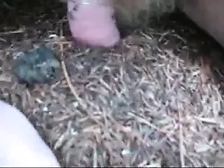 Ants By Bylting 2 Gay Man Porn XHamster