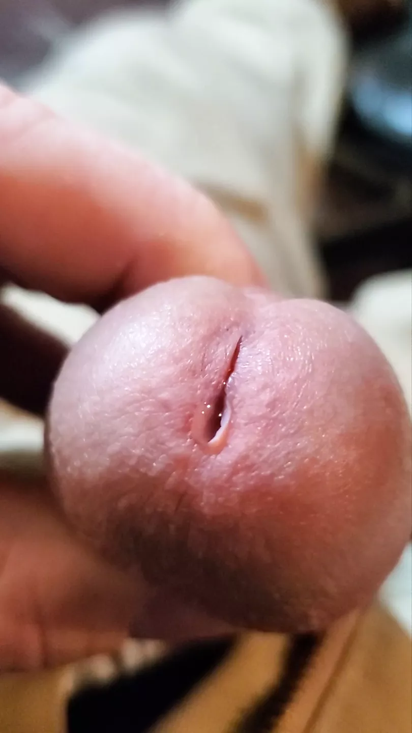 Prefe Calzones Lovechubbymex 1085 Gay Fat Porn XHamster