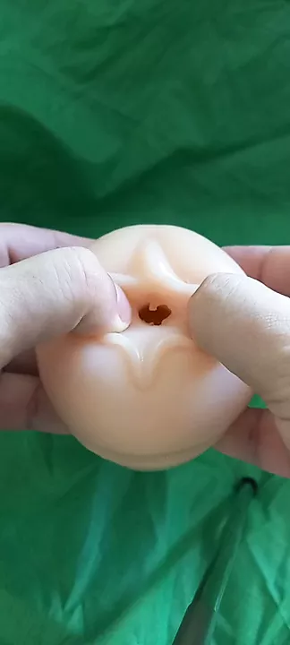 Fleshlight Gay Man Porn Feat Pentarec XHamster