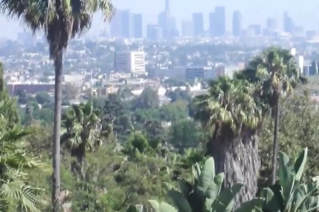 Betty Page The Naked Truth Restyling Movie In Full HD Story Hardcore Porn XHamster