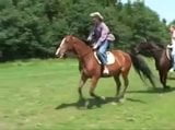 Is dit de manege van Roy & James, (misschien). snapshot 1