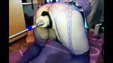 Sexmachine fucks sissy slut through an oxball pighole snapshot 2