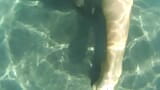 Nylondelux naakte panty in de zee snapshot 8