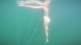 Meine schöne Meerjungfrau snapshot 3