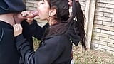 Sloppy blowjob from a beautiful brunette in the park snapshot 7