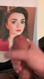 Maisie Williams Tribute snapshot 2