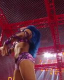 Sasha Banks on the turnbuckle snapshot 1