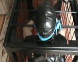 In the cage - gag by rope snapshot 1