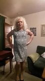 Michelle a Mature Tranny Again snapshot 1