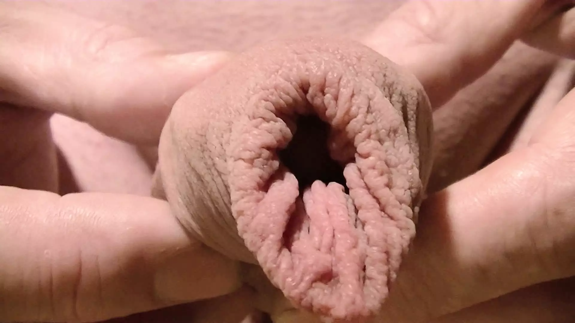 Vorhaut nahaufnahme zeitlupe 281 | xHamster