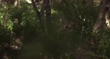 Patricia Arquette - '' natura umana '' 03 snapshot 2