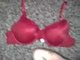 Cum on bra - Marie's Bra snapshot 5