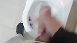 Соло-мастурбация в туалете snapshot 5