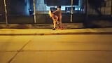 couple fucking in public risky voyeurs flashing without panties snapshot 16