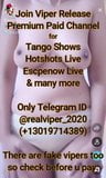 Desi Tango Privatshow 47889 snapshot 8