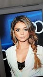 Sarah Hyland cum tribute snapshot 1