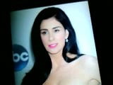 为sarah silverman射精致敬 snapshot 2