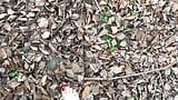 Sexy Feet Female Barefoot Outside Walking Dirty Soles Red Toenails Foot Fetish No Talking snapshot 11