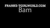 FRANKS-TGIRLWORLD: The Bam! snapshot 1