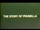 Story Of Prunella snapshot 1