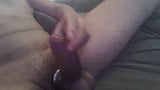 my cock snapshot 10