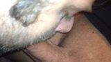 Bbw couple sucking big cock snapshot 10