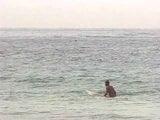 Dois padrasto surfistas snapshot 2