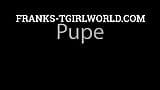 Franks tgirlworld - pupe geri döndü ve senin için mastürbasyon yapıyor snapshot 1